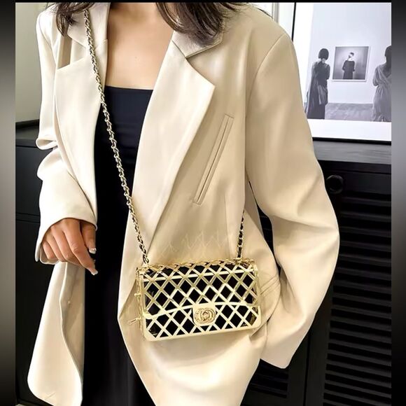 Elegant Metallic Frame Crossbody Bag - Picture 10 of 17